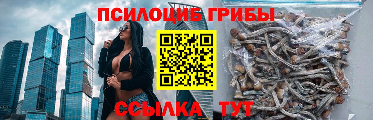 Галлюциногенные грибы MAGIC MUSHROOMS Анапа