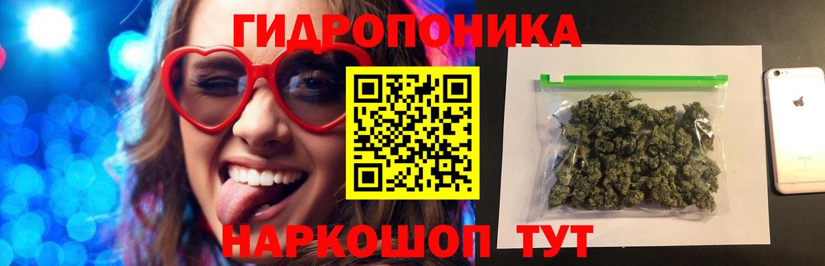 Конопля план  Шишки марихуана White Widow  Анапа  Канабис сатива  Вход с VPN 
